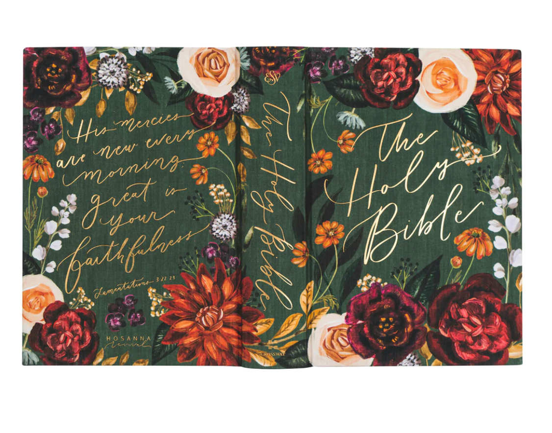 ESV LARGE PRINT JOURNALING BIBLE : HOLLIS THEME