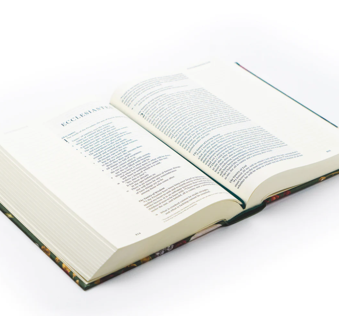 ESV LARGE PRINT JOURNALING BIBLE : HOLLIS THEME